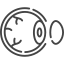 cornea